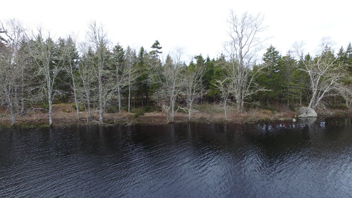 WentworthHalbinsel (72)